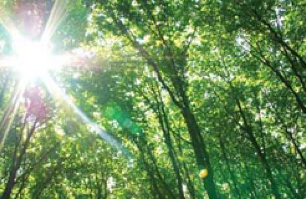330x160-green-investing.jpg