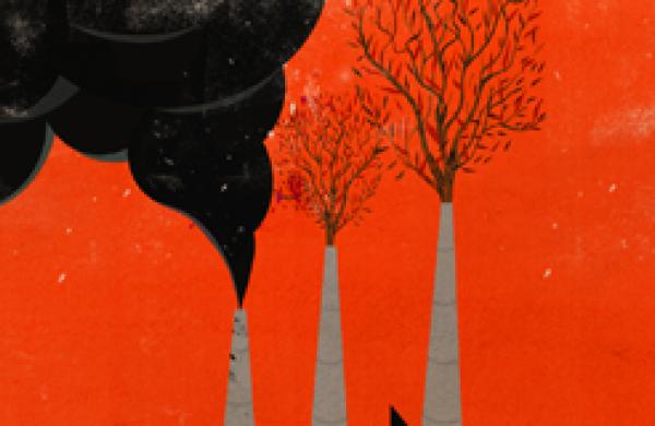 330x160-srifund.jpg