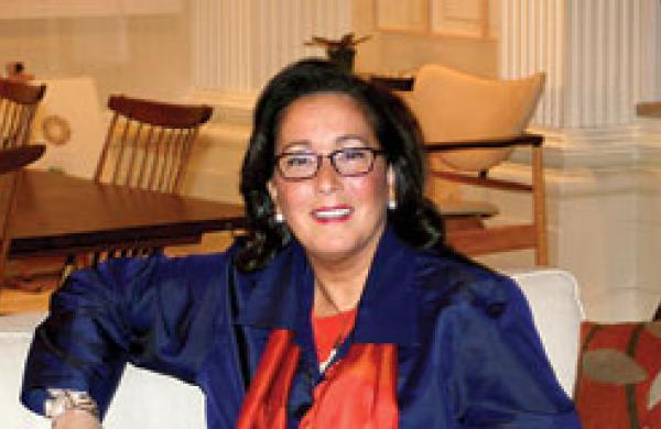 330x160-violy.jpg