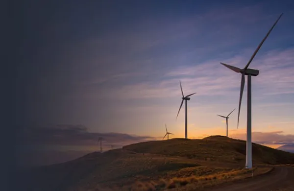 Paving the way towards net zero