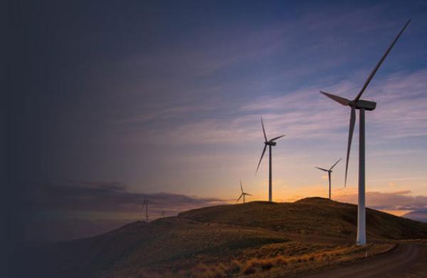 Paving the way towards net zero