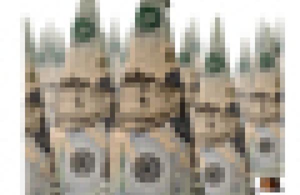 60x60-dollar-trees.jpg