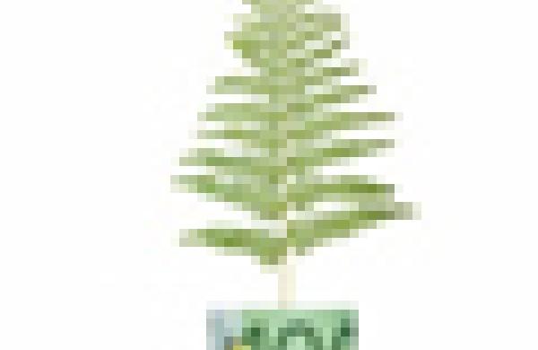 60x60-enviro-alpha.jpg