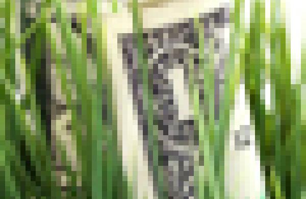 60x60-green-investing.jpg