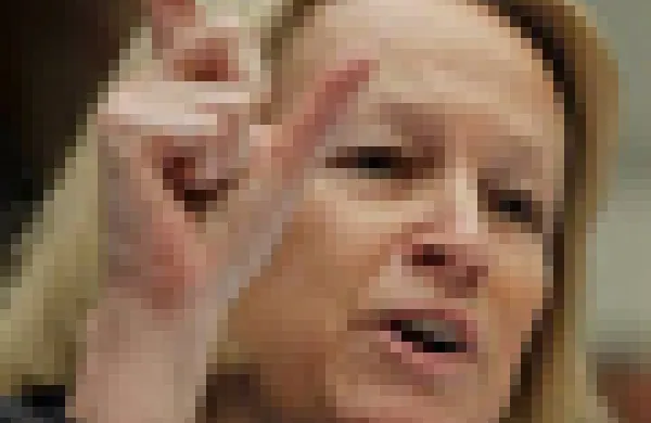 60x60-maryschapiro.jpg