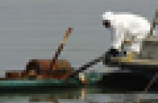 60x60-oil-spill-2010.jpg