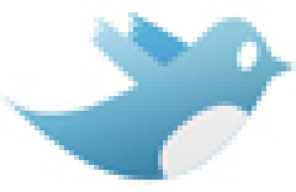 60x60-twitter-bird.jpg