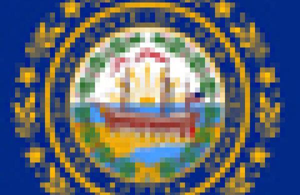 60x60new-hampshire.jpg