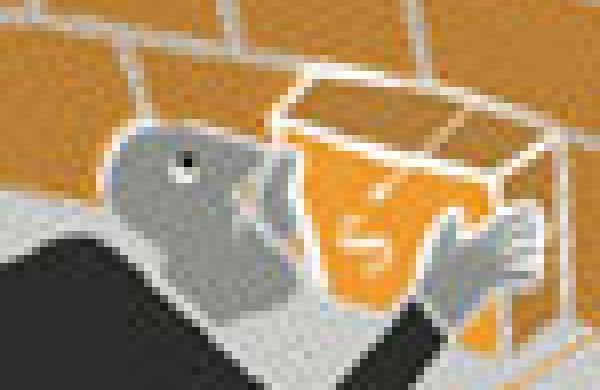 75banking-on-the-wall.jpg
