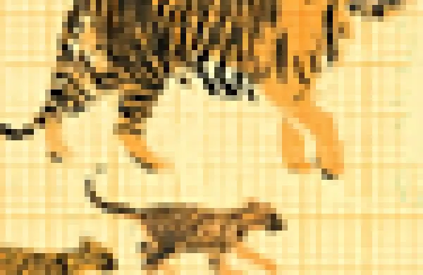 75tiger-co-seeding.jpg