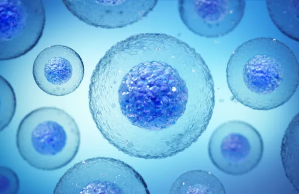life sciences 