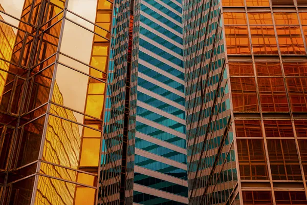 Seeking Resilience in Gravity-defying Stock Markets