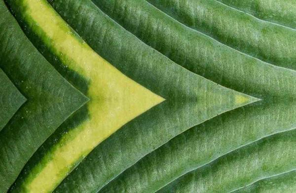 Fidelity Investments How endowments and foundations can align investment Lead Image