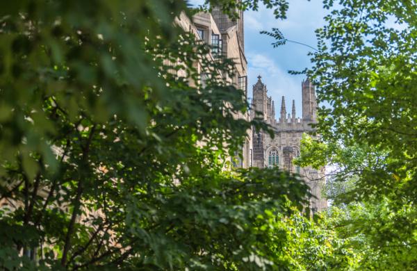 Yale’s Potential PE Sale Won’t Solve Liquidity Challenges