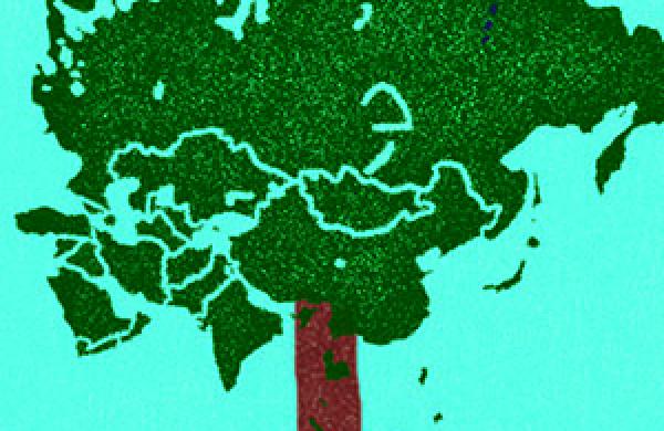 aaron-timms-research-the-asia-25-tree-300x425.jpeg