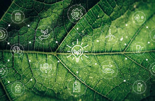 Investing in Climate Adaptation