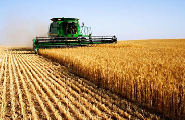 agriculture-large.jpg