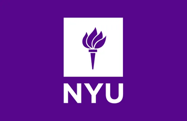 art-nyu-528.png