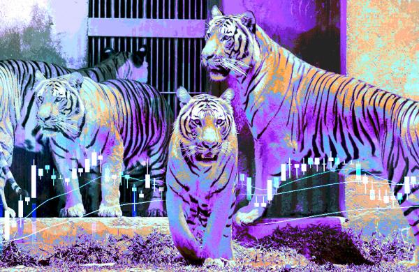 art-tamedtiger-0215.jpg