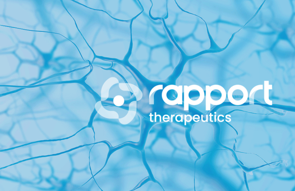 art-taub-rapport-052824.png