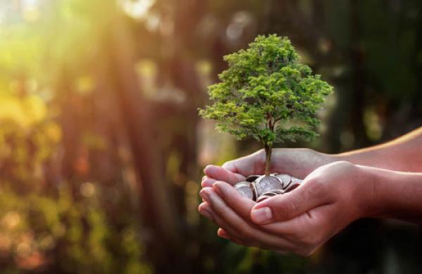 Carbon Offsets
