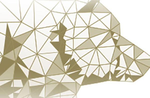 RIA Institute