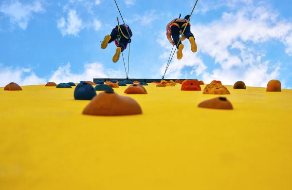 Improving DC Plans To Serve Participant Behavior