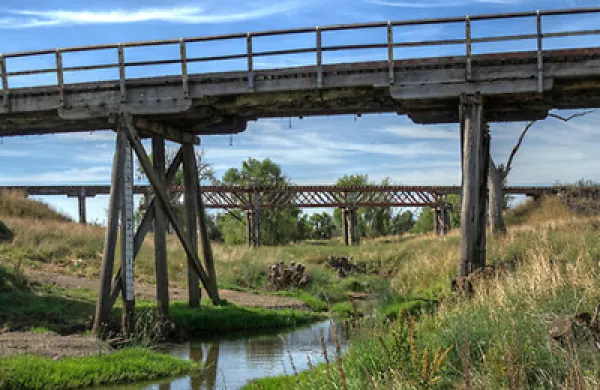 chinavest-bridge-large.jpg