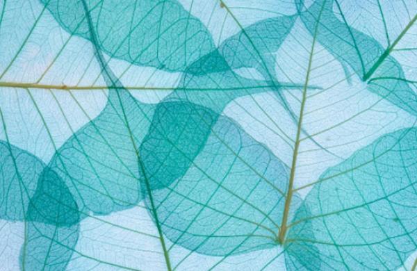 Finding Clarity in ESG Investing