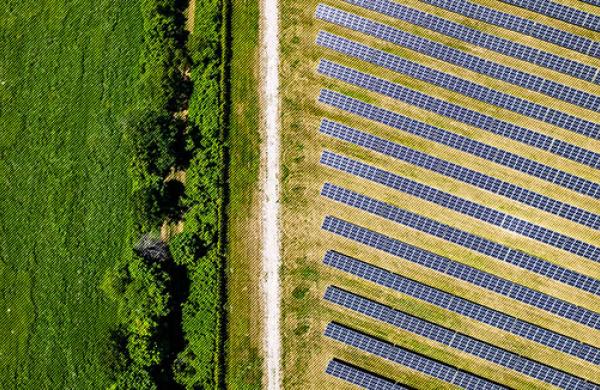 Price Signals are Needed in the Carbon Market