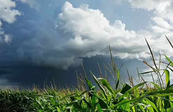 U.S. Farmers Look to More Variables in Weather