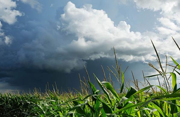 U.S. Farmers Look to More Variables in Weather