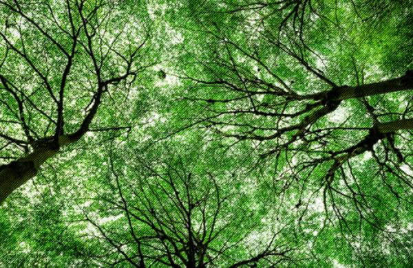 The Future(s) of Emissions Trading