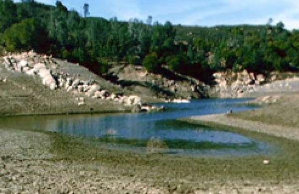 drought-pix.jpg