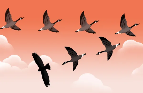 Illustration by Yarek Waszul.