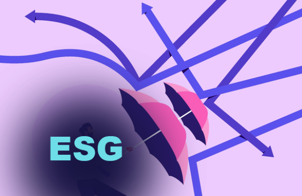 esg-assault-0618.png