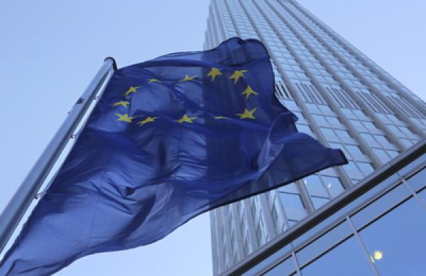 eu-flag-ecb-large.jpg