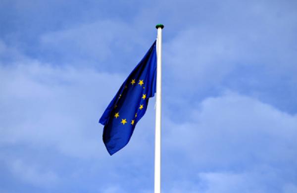 euro-flag-redenom-large.jpg