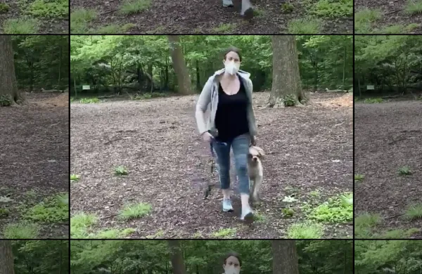 A screenshot from the cell phone video of Amy Cooper. (via Twitter)