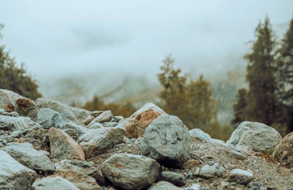 Close up of a forest floor and textures on a mountain footpath.