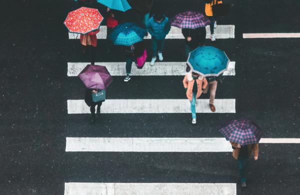 Directly above view of people with umbrellas walking on a crosswalk on a rainy day in the city. Sichuan Province, China