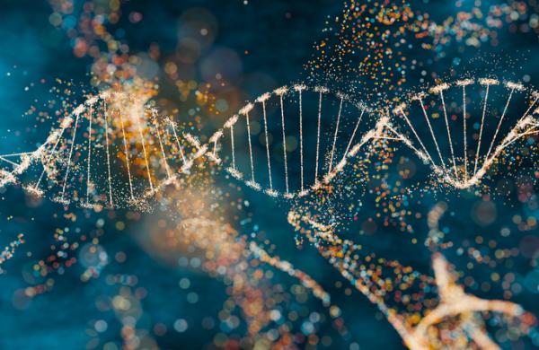 3D illustration of a DNA molecule with sparkling effects symbolizing complexity and genetic diversity. Futuristic concept of genomics, precision medicine, and computational life sciences. H