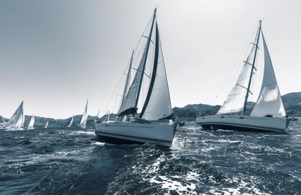 Sailing regatta through the waves in the Sea. In cool colors.