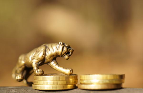 Metal tiger with coins close-up. Financial symbol.