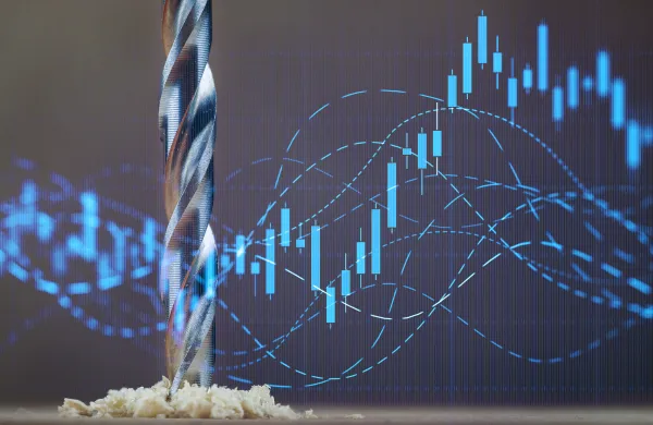 Drilling Down for Diversification