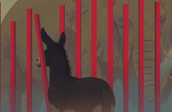 Illustrations by Michael Marsicano