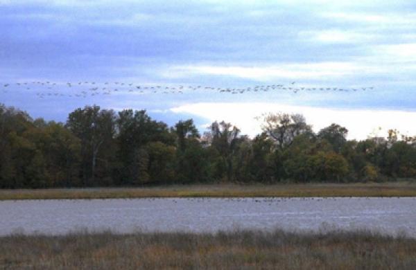 maryland-large.jpg