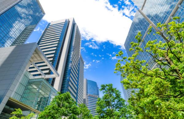 Asset Owners in Japan Series
