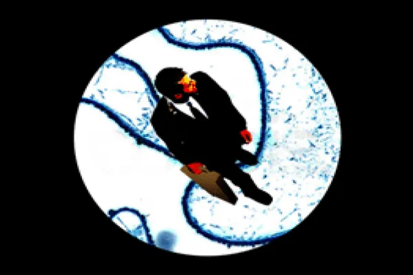 microscope-001.gif