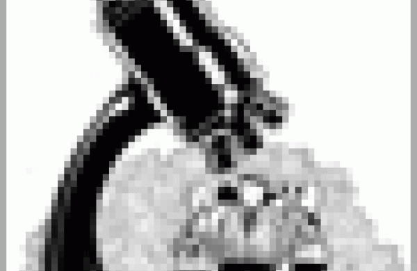 microscopez-sm.gif